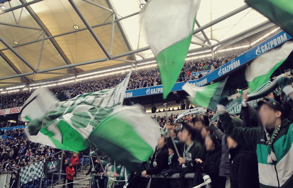Schalke - Fürth 2013
